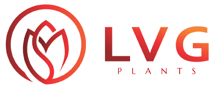 LVG logo